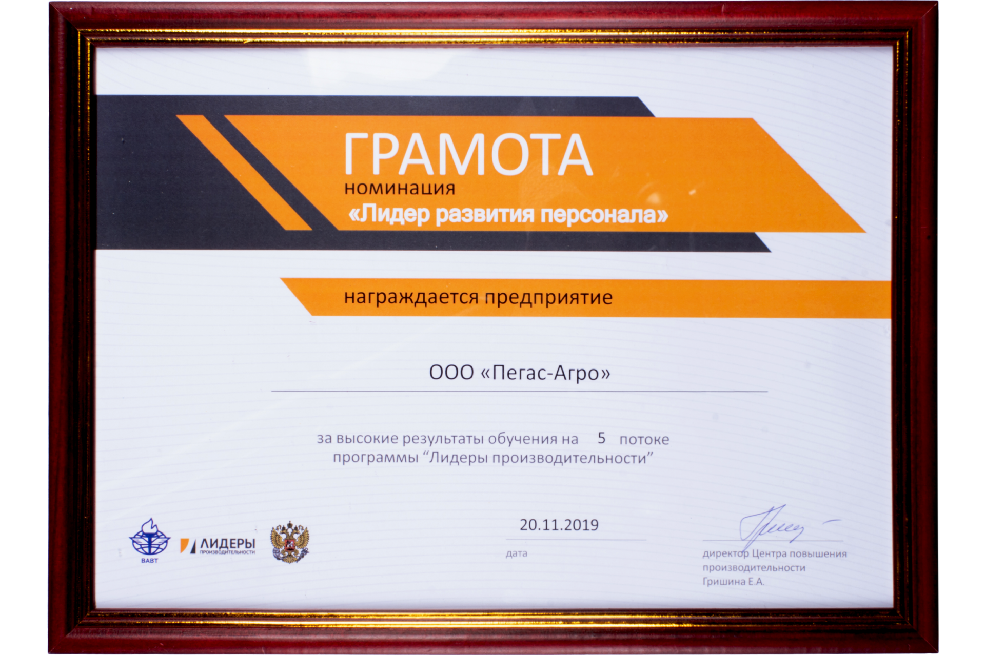 Diploma for “Leader of Personnel Development”, Center for Performance Improvement