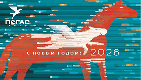 С Новым годом!