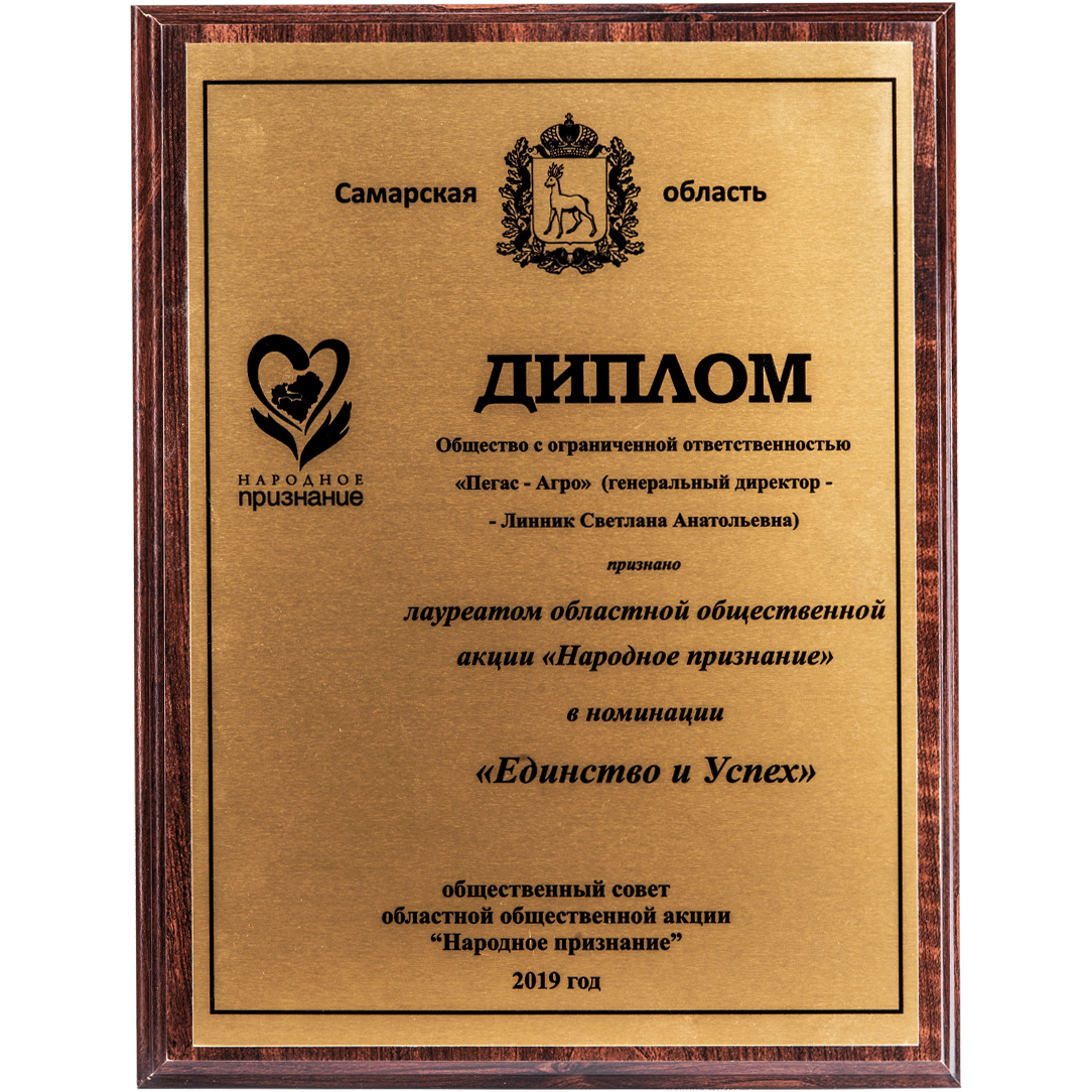 Laureate Diploma of the Regional Public Initiative “Public Recognition” for “Unity and Success”, Samara Region